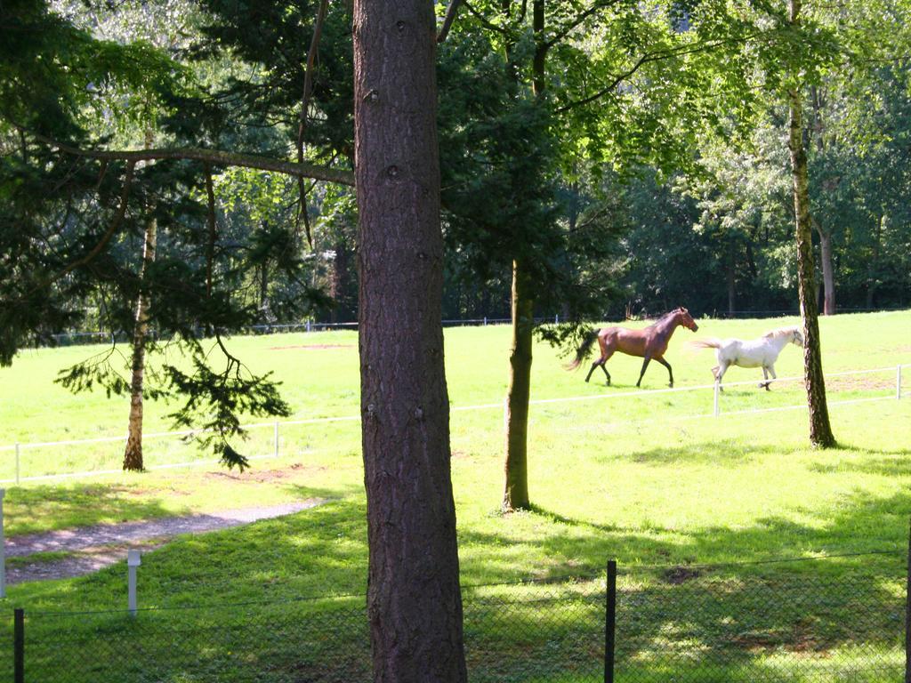 Spacious Farmhouse In Fontenelle With Garden Walcourt Екстериор снимка